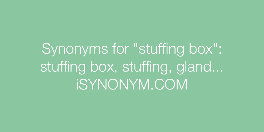 Synonyms stuffing box