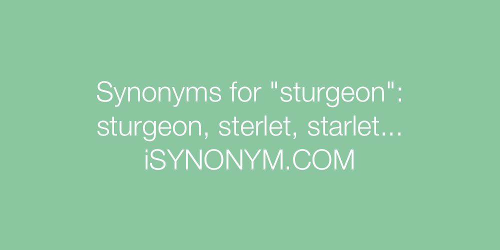 Synonyms sturgeon