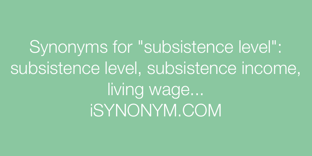 Synonyms subsistence level
