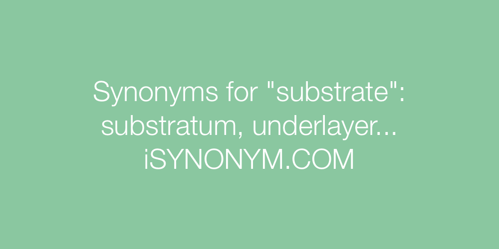 Synonyms substrate
