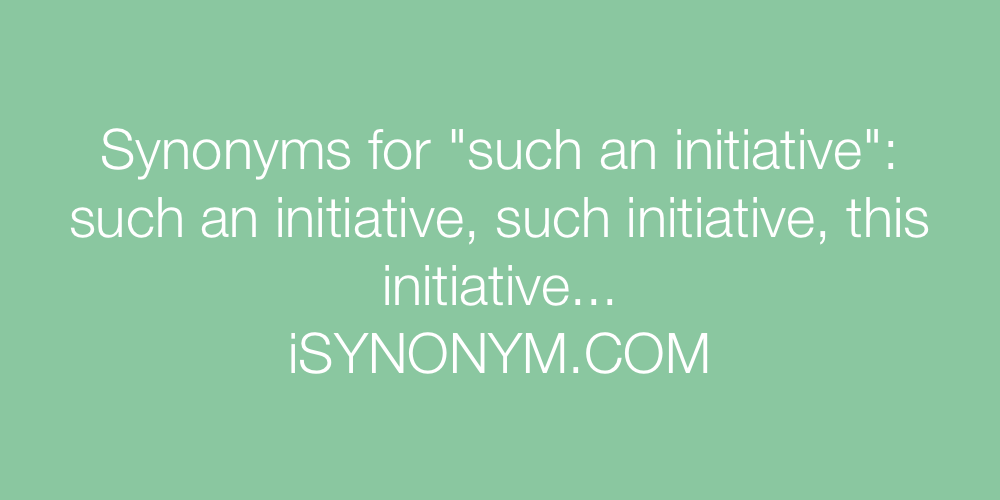 Synonyms such an initiative