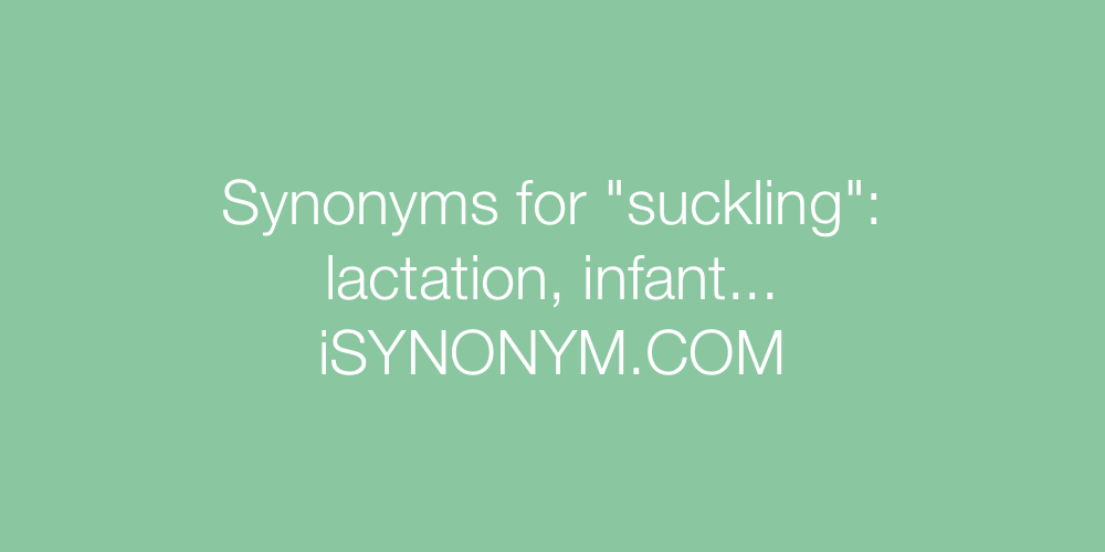 Synonyms suckling