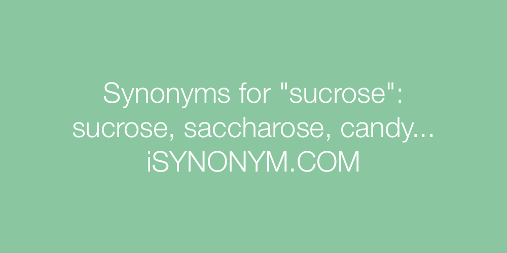 Synonyms sucrose