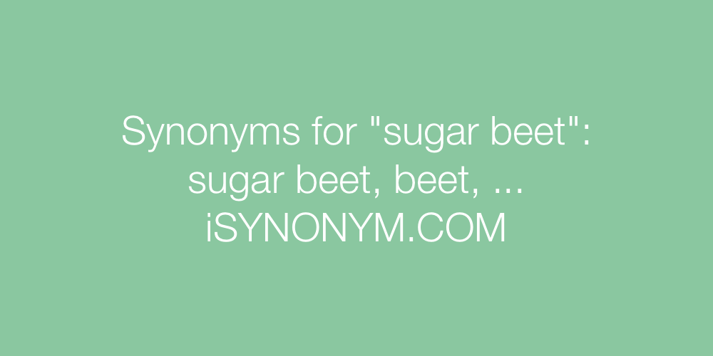 Synonyms sugar beet