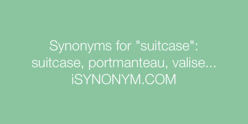 Synonyms suitcase