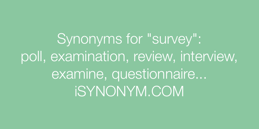 Synonyms survey