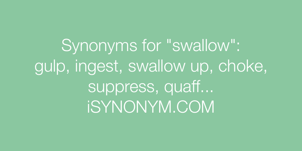 Synonyms swallow
