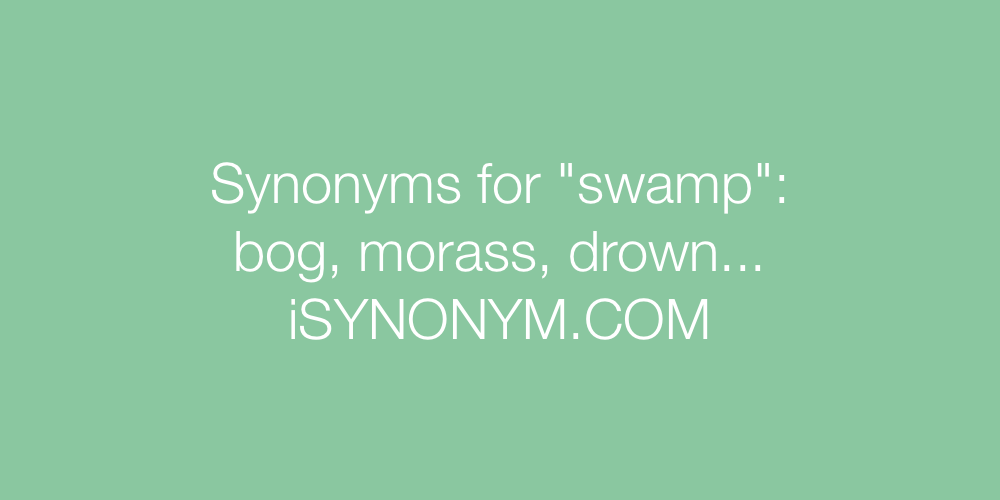 Synonyms swamp
