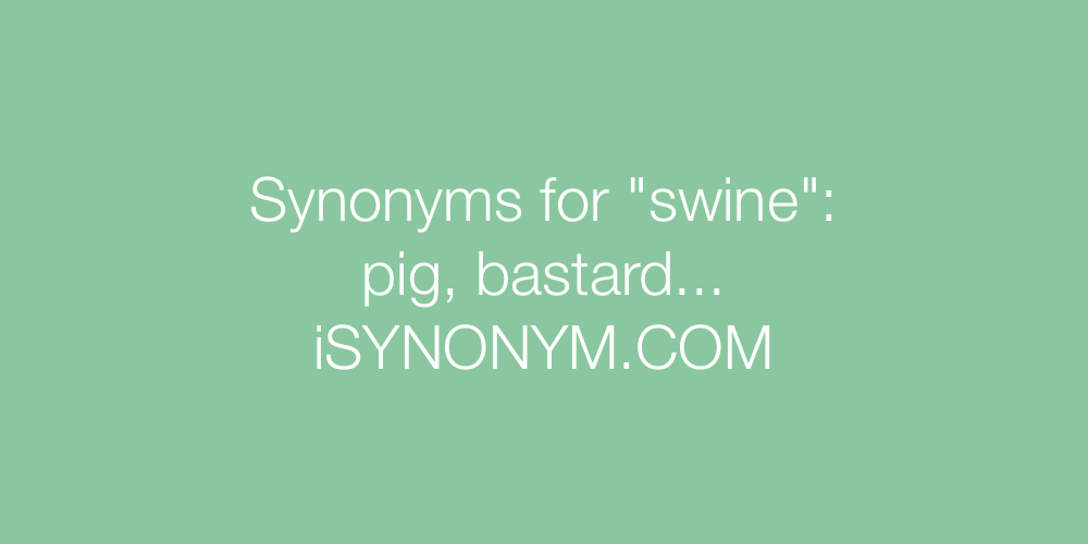 Synonyms swine