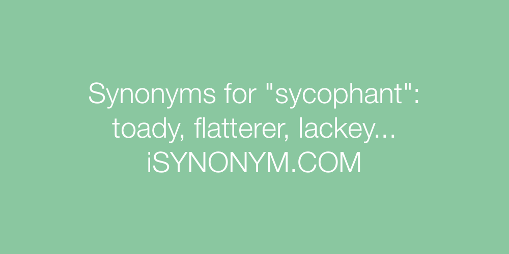 Synonyms sycophant