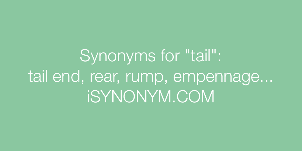 Synonyms tail
