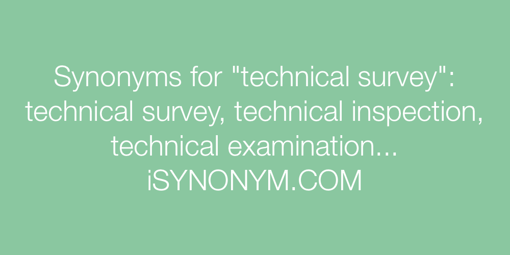 Synonyms technical survey