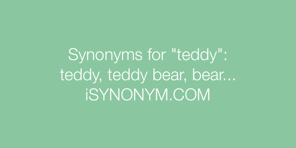 Synonyms teddy