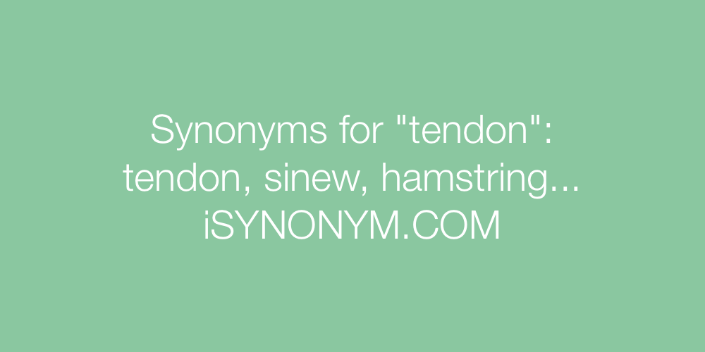 Synonyms tendon