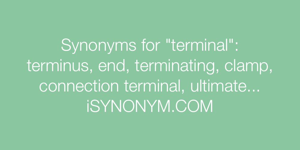 Synonyms terminal