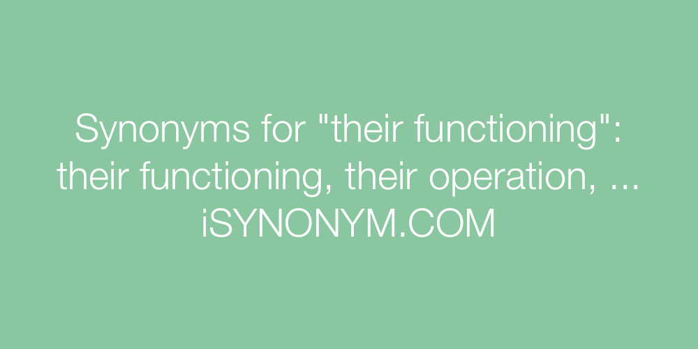 Synonyms their functioning