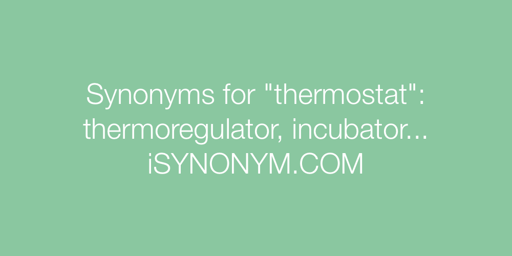 Synonyms thermostat