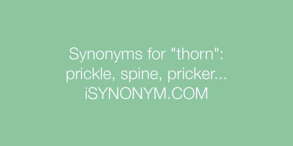 Synonyms thorn