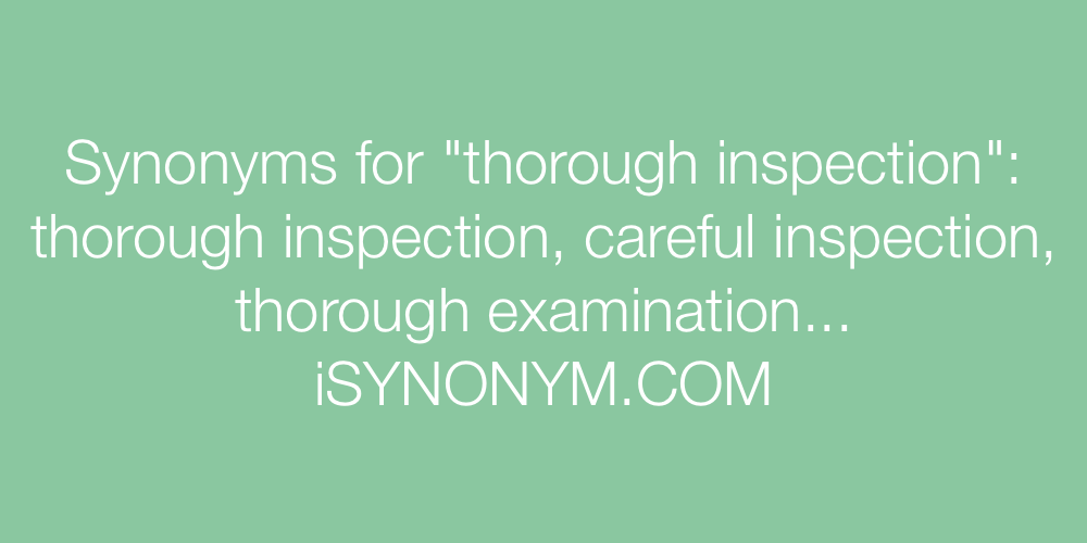 Synonyms thorough inspection