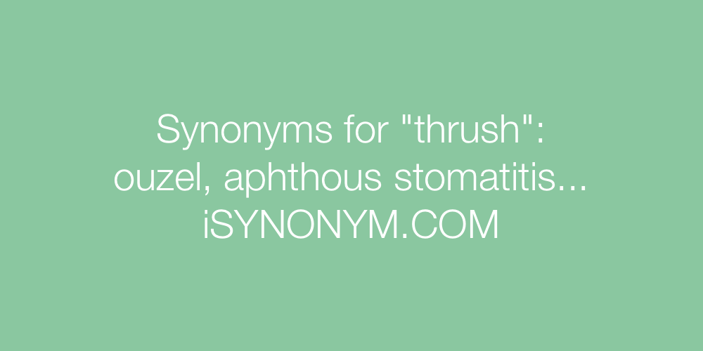 Synonyms thrush
