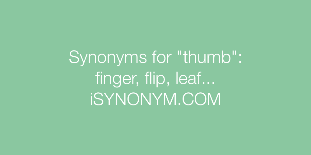 Synonyms thumb