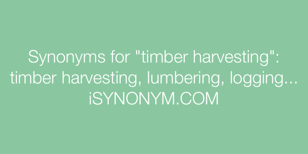 Synonyms timber harvesting
