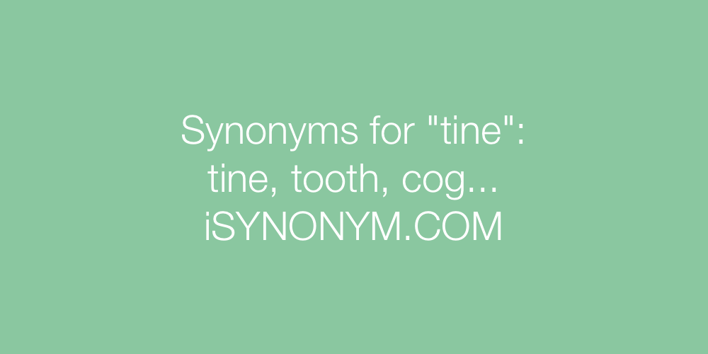 Synonyms tine