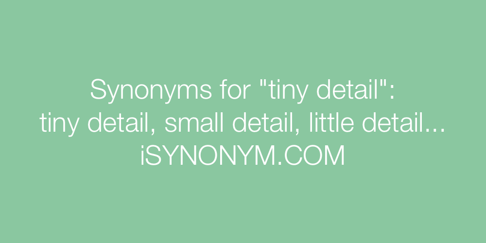 Synonyms tiny detail