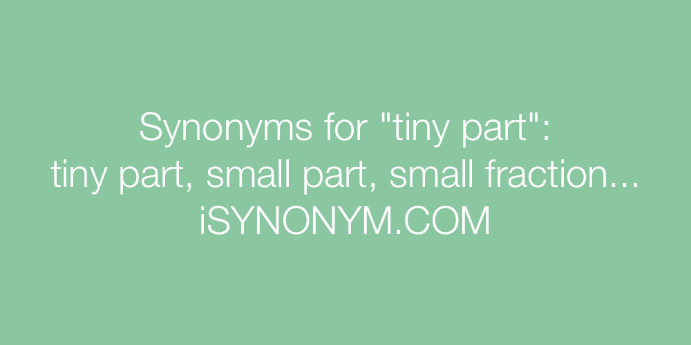 Synonyms tiny part