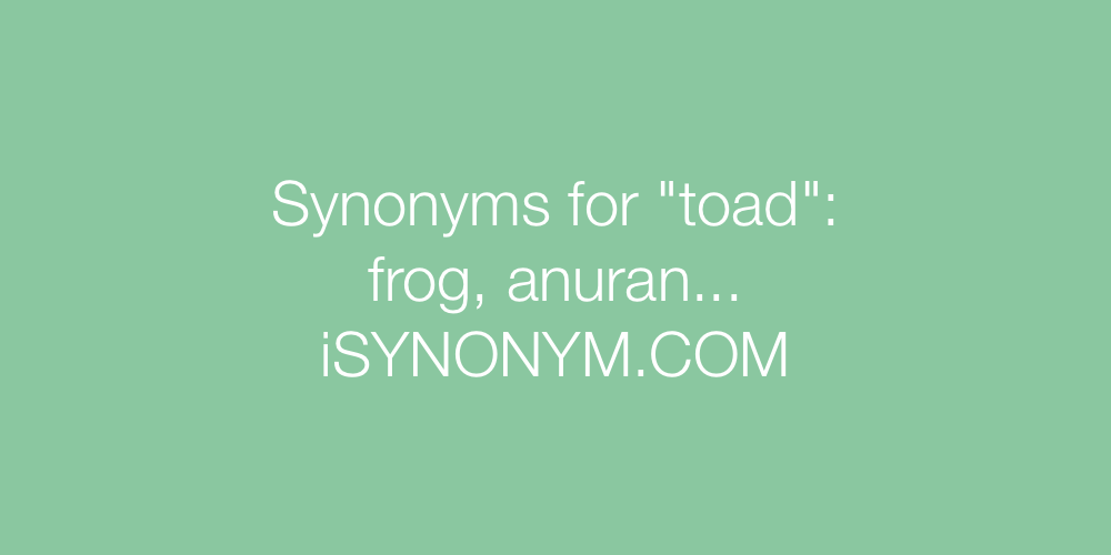 Synonyms toad