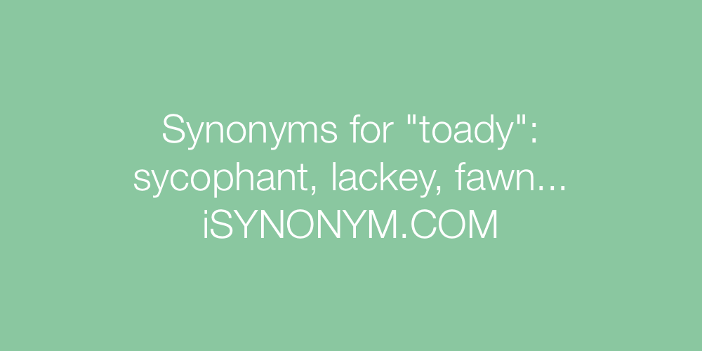 Synonyms toady