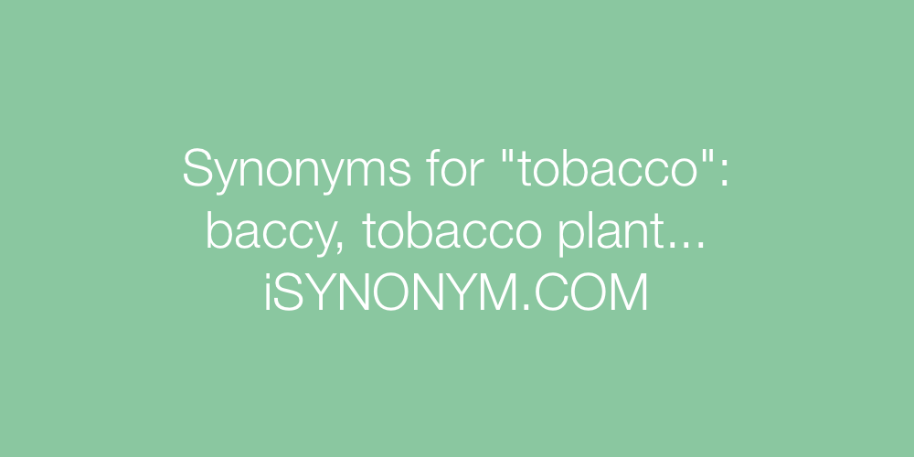 Synonyms tobacco