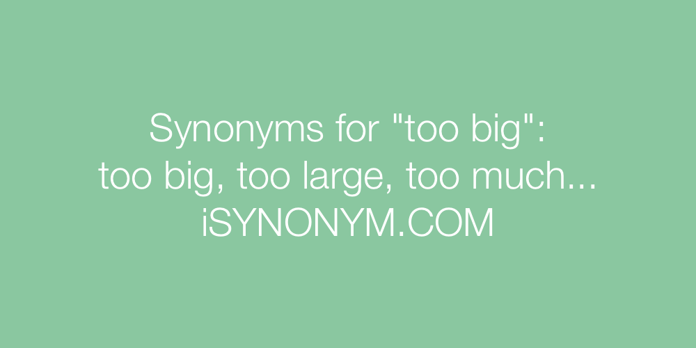 Synonyms too big