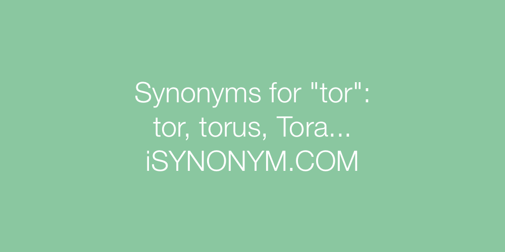 Synonyms tor