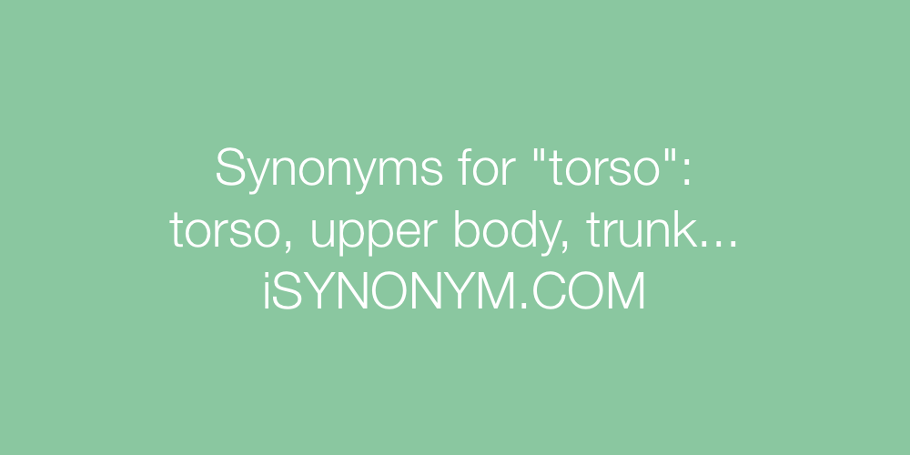 Synonyms torso