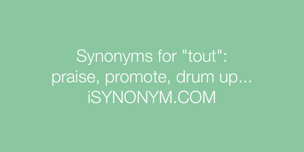 Synonyms tout