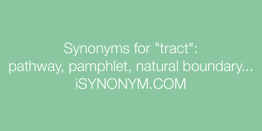 Synonyms tract