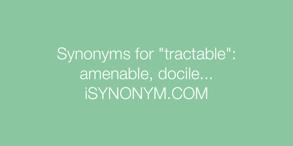 Synonyms tractable