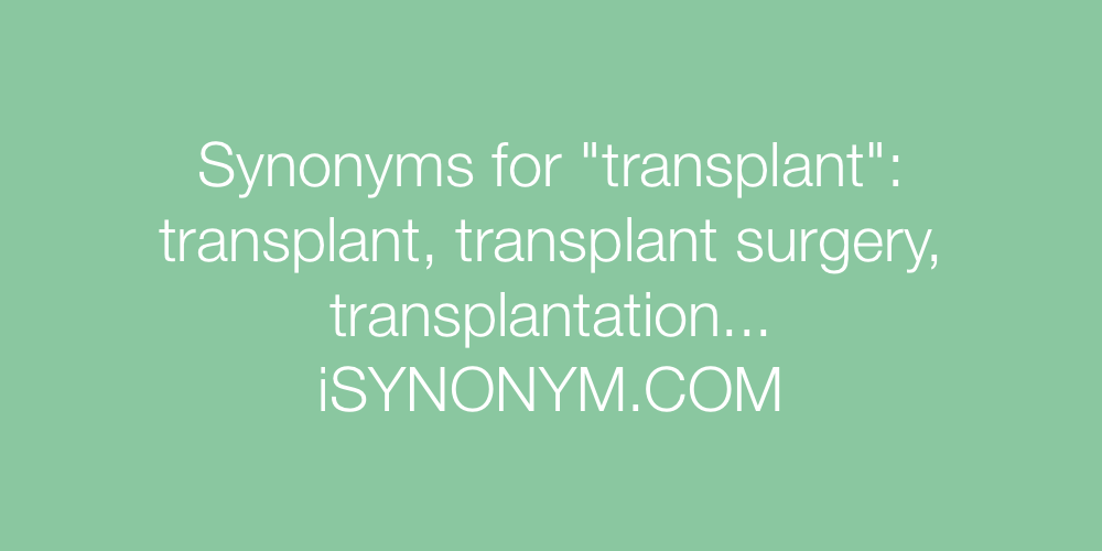 Synonyms transplant