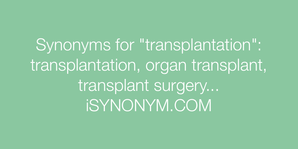 Synonyms transplantation