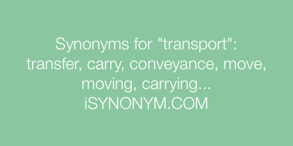 Synonyms transport