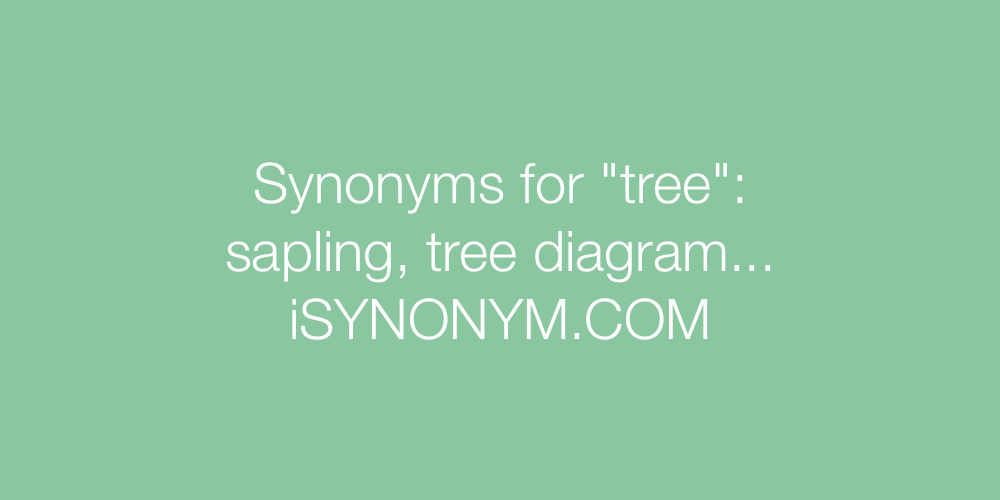 Synonyms tree