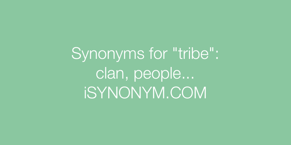 Synonyms tribe