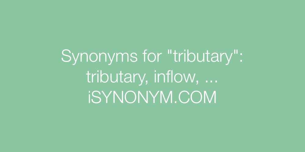 Synonyms tributary