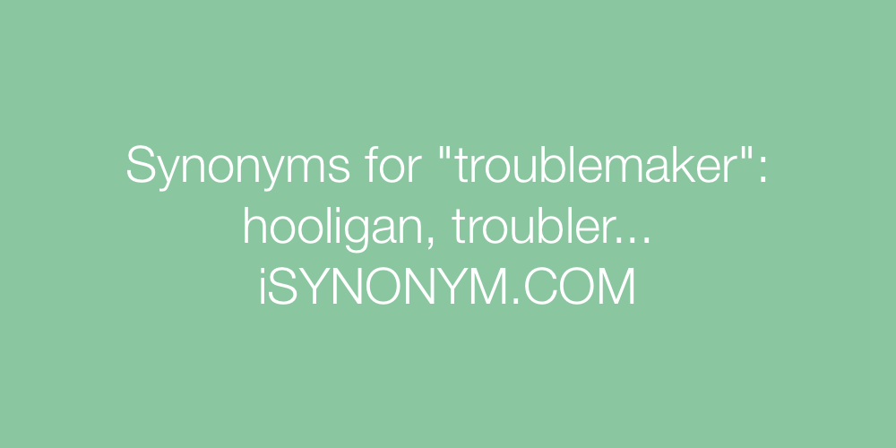 Synonyms troublemaker