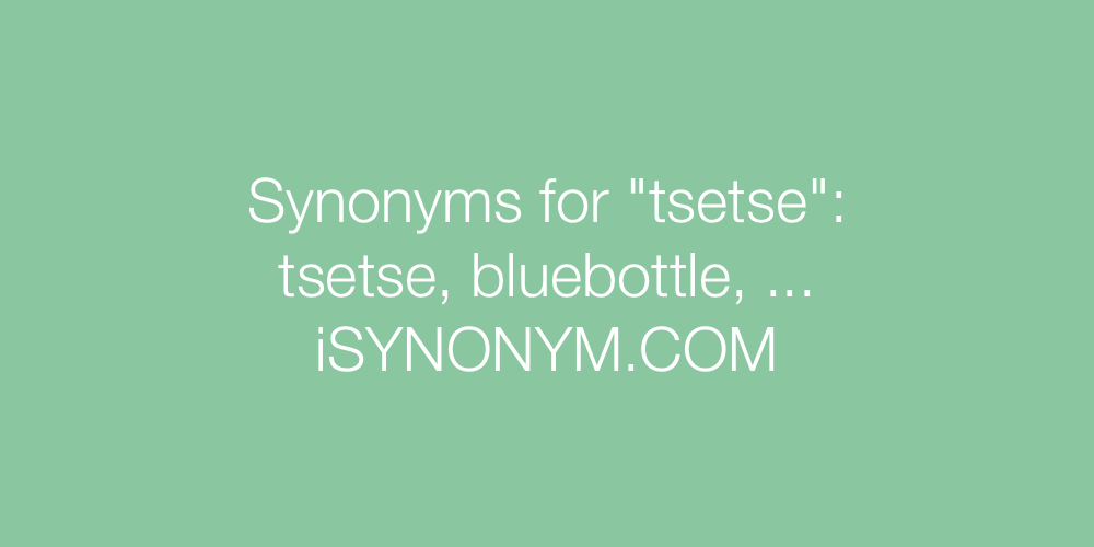 Synonyms tsetse