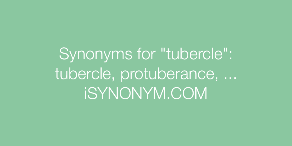 Synonyms tubercle