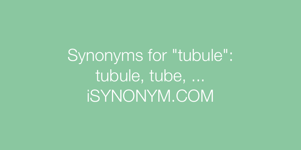 Synonyms tubule