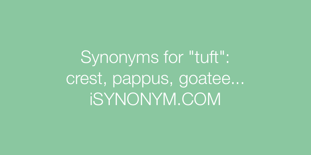 Synonyms tuft