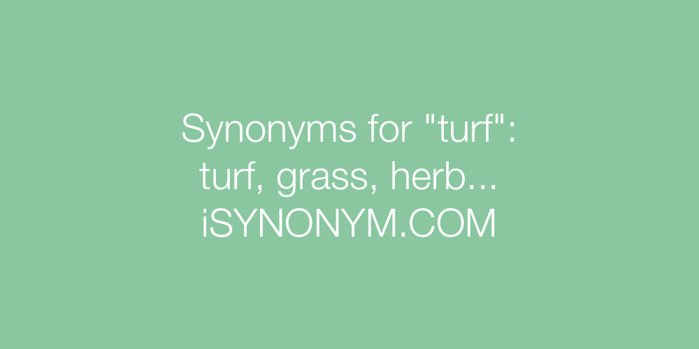 Synonyms turf
